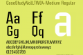 CaseStudyNo1LTW04-Medium