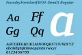 FoundryFormSerifW03-DemiIt