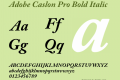 Adobe Caslon Pro