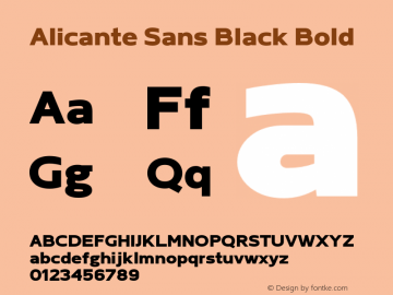 Alicante Sans Black