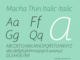 Macha Thin Italic