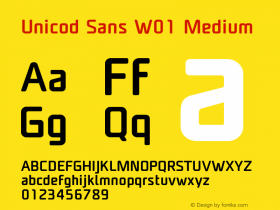 Unicod Sans W01