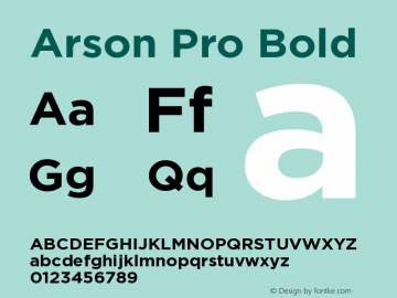 Arson Pro