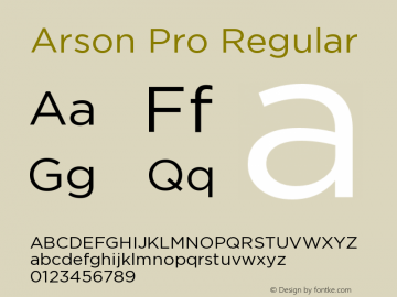 Arson Pro