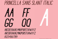 Princella Sans Slant