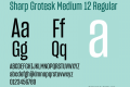 Sharp Grotesk Medium 12