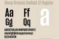 Sharp Grotesk SmBold 12