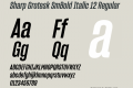 Sharp Grotesk SmBold Italic 12