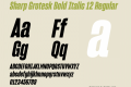 Sharp Grotesk Bold Italic 12