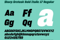 Sharp Grotesk Bold Italic 17