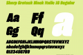 Sharp Grotesk Black Italic 16