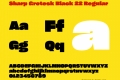 Sharp Grotesk Black 22