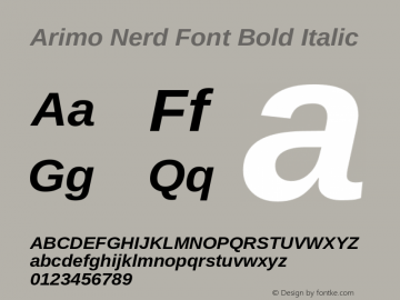 Arimo Nerd Font