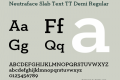 Neutraface Slab Text TT Demi