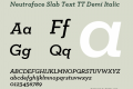 Neutraface Slab Text TT Demi