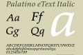 Palatino eText