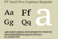 PT Serif Pro Caption