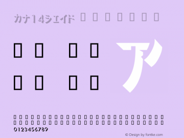 カナ14シェイド