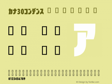 カナ30コンデンス