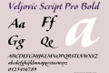 Veljovic Script Pro