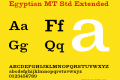 Egyptian MT Std