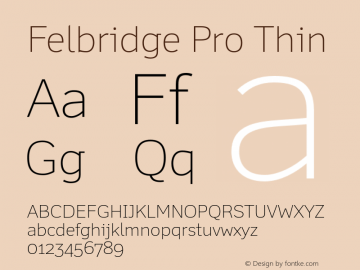 Felbridge Pro