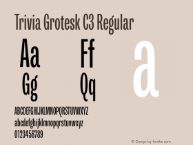 Trivia Grotesk C3