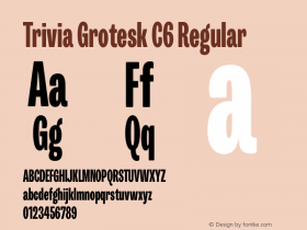 Trivia Grotesk C6