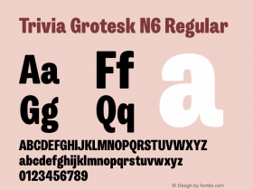 Trivia Grotesk N6