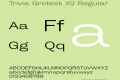 Trivia Grotesk X2