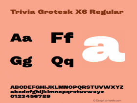 Trivia Grotesk X6