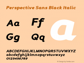 Perspective Sans Black