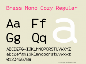 Brass Mono Cozy