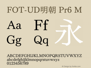 FOT-UD明朝 Pr6