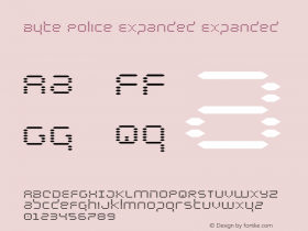 Byte Police Expanded