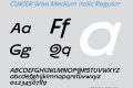 CUKIER W00 Medium italic