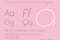 Circularis W00 Thin Italic