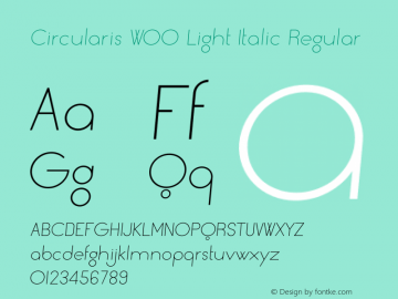 Circularis W00 Light Italic
