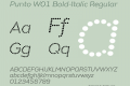 Punto W01 Bold-Italic