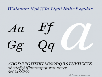 Walbaum 12pt W01 Light Italic