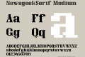 NewsgeekSerif