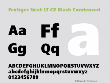 Frutiger Next LT CE