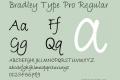 Bradley Type Pro