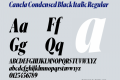 Canela Condensed Black Italic