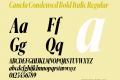 Canela Condensed Bold Italic