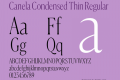 Canela Condensed Thin