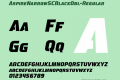 AspireNarrowSCBlackObl-Regular