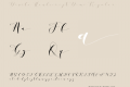 Donita Handscript Demo