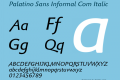 Palatino Sans Informal Com