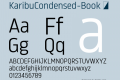 KaribuCondensed-Book